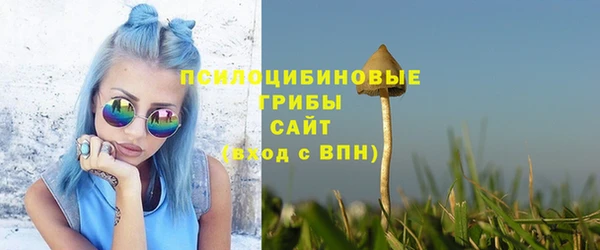 молекула духа Беломорск