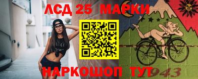 крисы Абакан