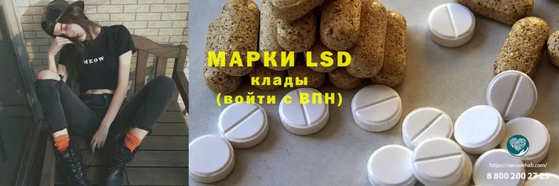 как найти закладки  Большой Камень  Лсд 25 экстази ecstasy 