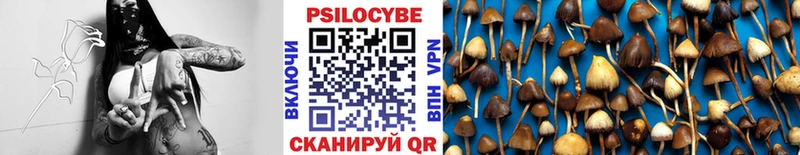 Галлюциногенные грибы мицелий  кракен зеркало  Большой Камень  купить наркотики сайты 