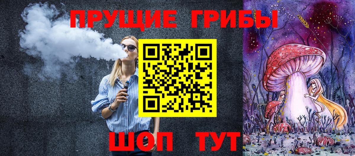 Псилоцибиновые грибы мицелий Большой Камень