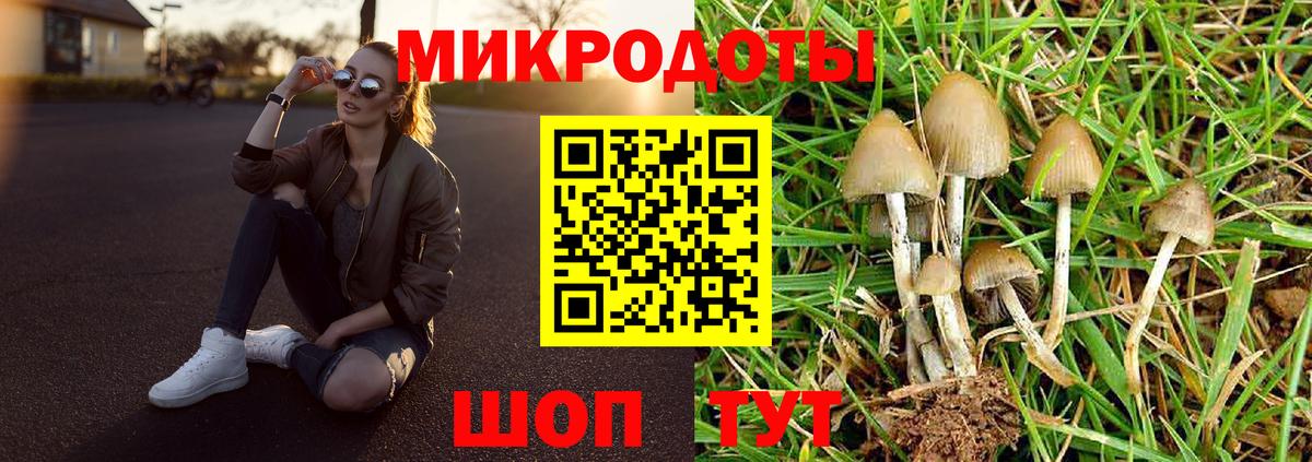 наркотики  Большой Камень  Галлюциногенные грибы Psilocybe  Псилоцибиновые грибы MAGIC MUSHROOMS 