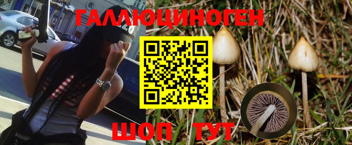 Большой Камень  Галлюциногенные грибы Psilocybe  Вход с VPN 