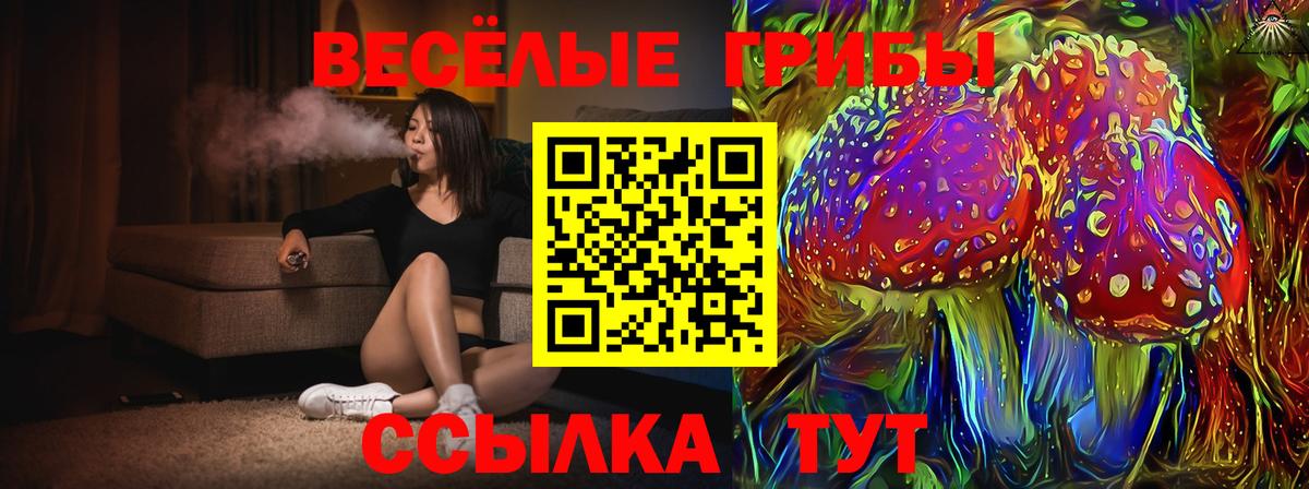 Псилоцибиновые грибы Cubensis Большой Камень