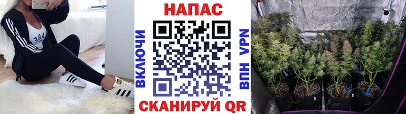 mega ссылка  Большой Камень  Марихуана White Widow 